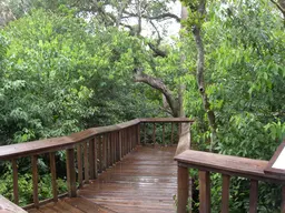 Gumbo Limbo Nature Center