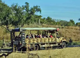 Kilimanjaro Safaris