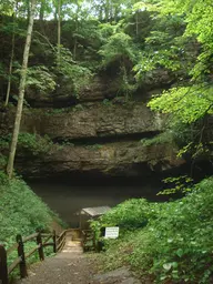 Organ Cave