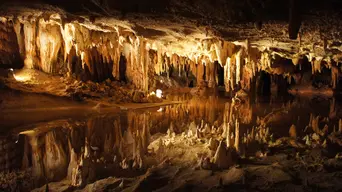 Luray Caverns