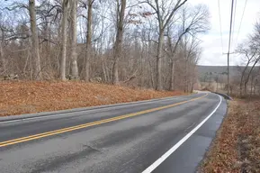 March Route of Rochambeau's Army: Palmer Road