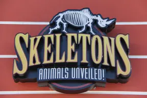 Skeletons: Museum of Osteology