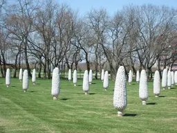 Field of Corn (with Osage Orange Trees)