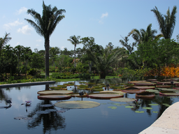 Naples Botanical Garden