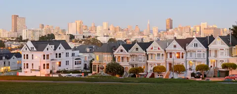 Painted Ladies