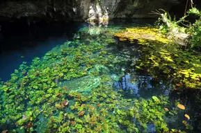 Gran Cenote