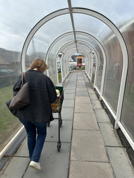 Bude Tunnel