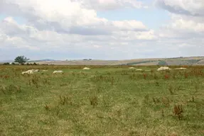 Kingston Russell Stone Circle