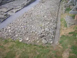 Binchester Roman Fort