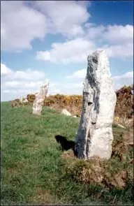 Nine Maidens Stone Row