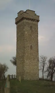 Flounders' Folly