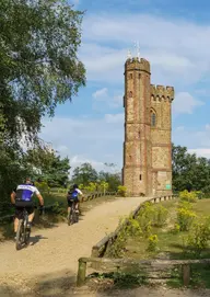 Leith Hill Tower