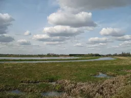 RSPB Lakenheath Fen