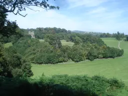 Dinefwr Park