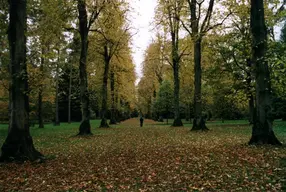 Westonbirt Arboretum