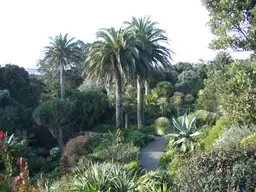 Tresco Abbey Gardens