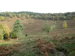 Hindhead Commons and the Devil's Punch Bowl