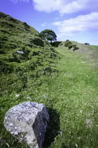 Bury Castle