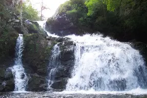 Reekie Linn