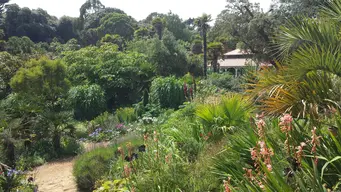 Abbotsbury Subtropical Gardens