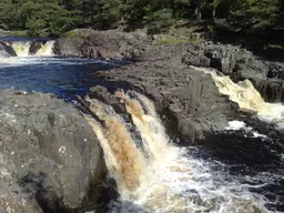 Low Force