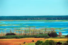 Lake Hornborga