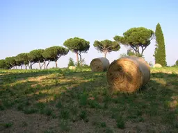 Parco regionale di Veio