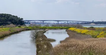 Ponte punta Penna-Pizzone