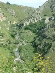 Ponte sulla gravina