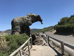 Elephant Rock