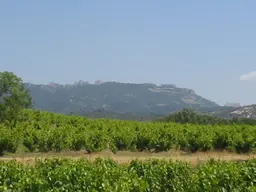 Dentelles de Montmirail