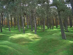 Canadian National Vimy Memorial Park