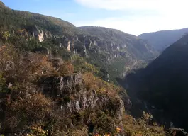 Gorges de la Jonte