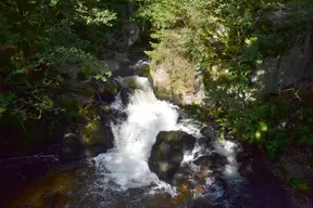 Saut des Cuves