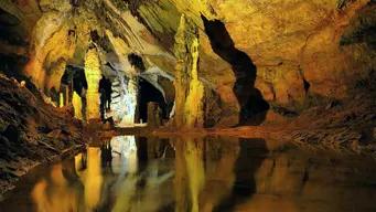 Grotte d’Osselle