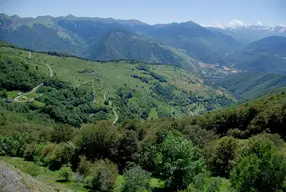 Col d'Aspin