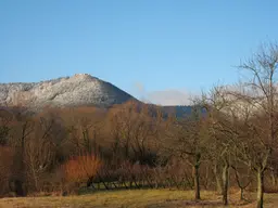 Mont Sainte-Odile