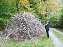 Stikhokken i Hydeskov