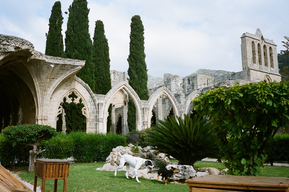 Bellapais Abbey