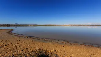 Larnaca Salt lake