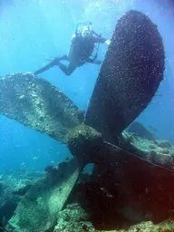 Zenobia Shipwreck