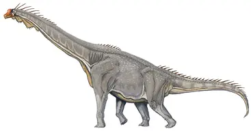 Brachiosaurus