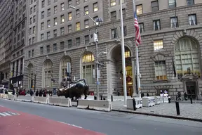 Charging Bull