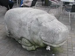 The Concrete Hippopotamus