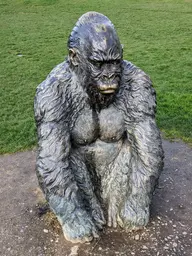 Gorilla