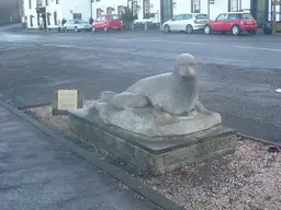 Inchcolm Seals