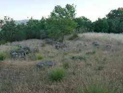 Area archeologica Ghiaccio Forte