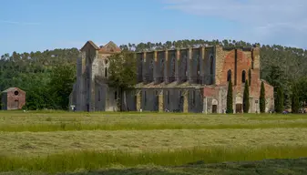 Abbazia di San Galgano