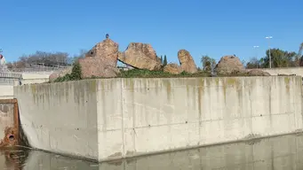 Homenaje a Agustín Rodríguez-Sahagún