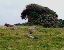 Nuraghe Mura Lavros